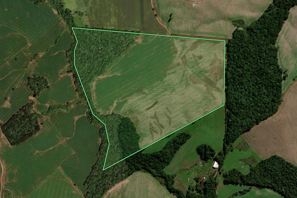 Imagem de satélite do imóvel rural em Clevelândia (PR), com o contorno declarado no CAR desenhado por cima.