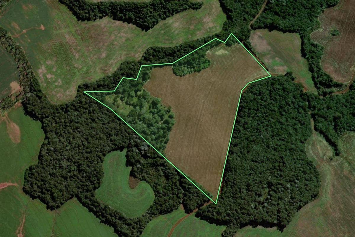 Imagem de satélite do imóvel rural em Clevelândia (PR), com o contorno declarado no CAR desenhado por cima.
