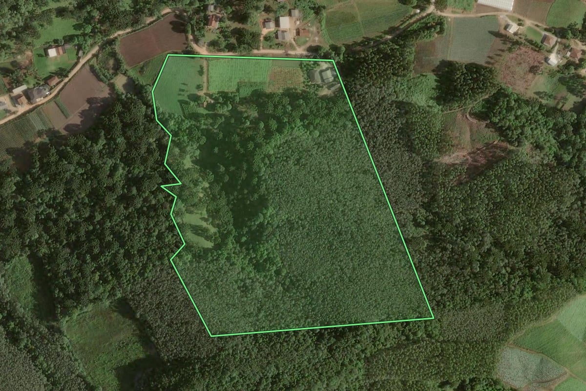Imagem de satélite do imóvel rural em Colombo (PR), com o contorno declarado no CAR desenhado por cima.