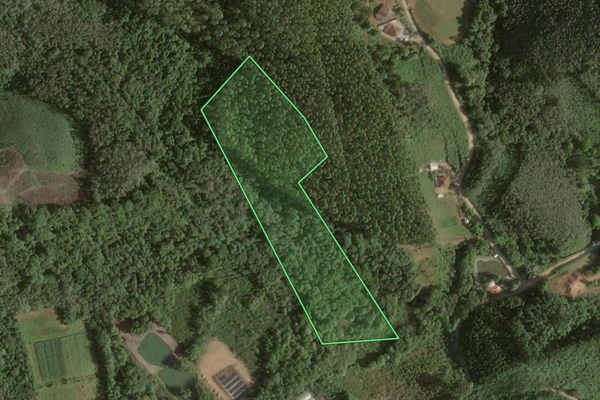 Imagem de satélite do imóvel rural em Colombo (PR), com o contorno declarado no CAR desenhado por cima.