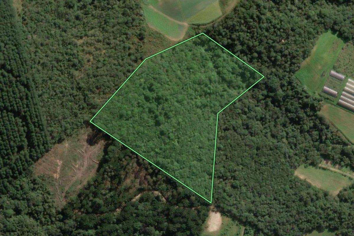 Imagem de satélite do imóvel rural em Colombo (PR), com o contorno declarado no CAR desenhado por cima.