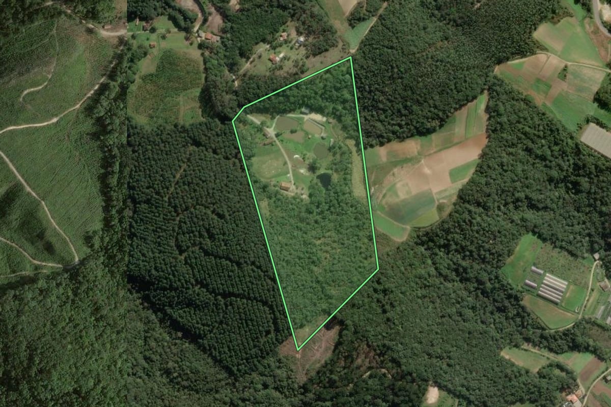 Imagem de satélite do imóvel rural em Colombo (PR), com o contorno declarado no CAR desenhado por cima.