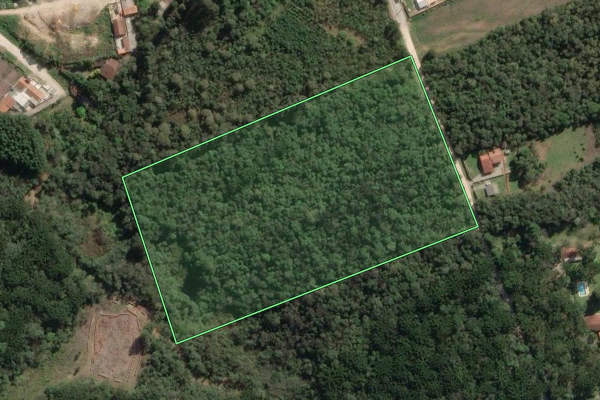 Imagem de satélite do imóvel rural em Colombo (PR), com o contorno declarado no CAR desenhado por cima.