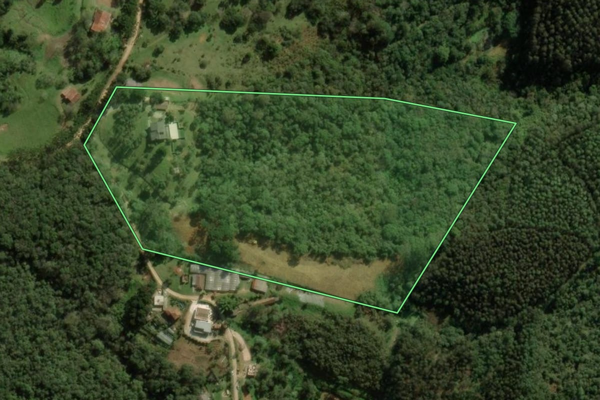 Imagem de satélite do imóvel rural em Colombo (PR), com o contorno declarado no CAR desenhado por cima.