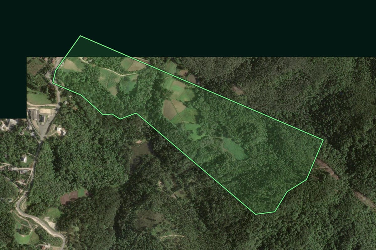 Imagem de satélite do imóvel rural em Colombo (PR), com o contorno declarado no CAR desenhado por cima.