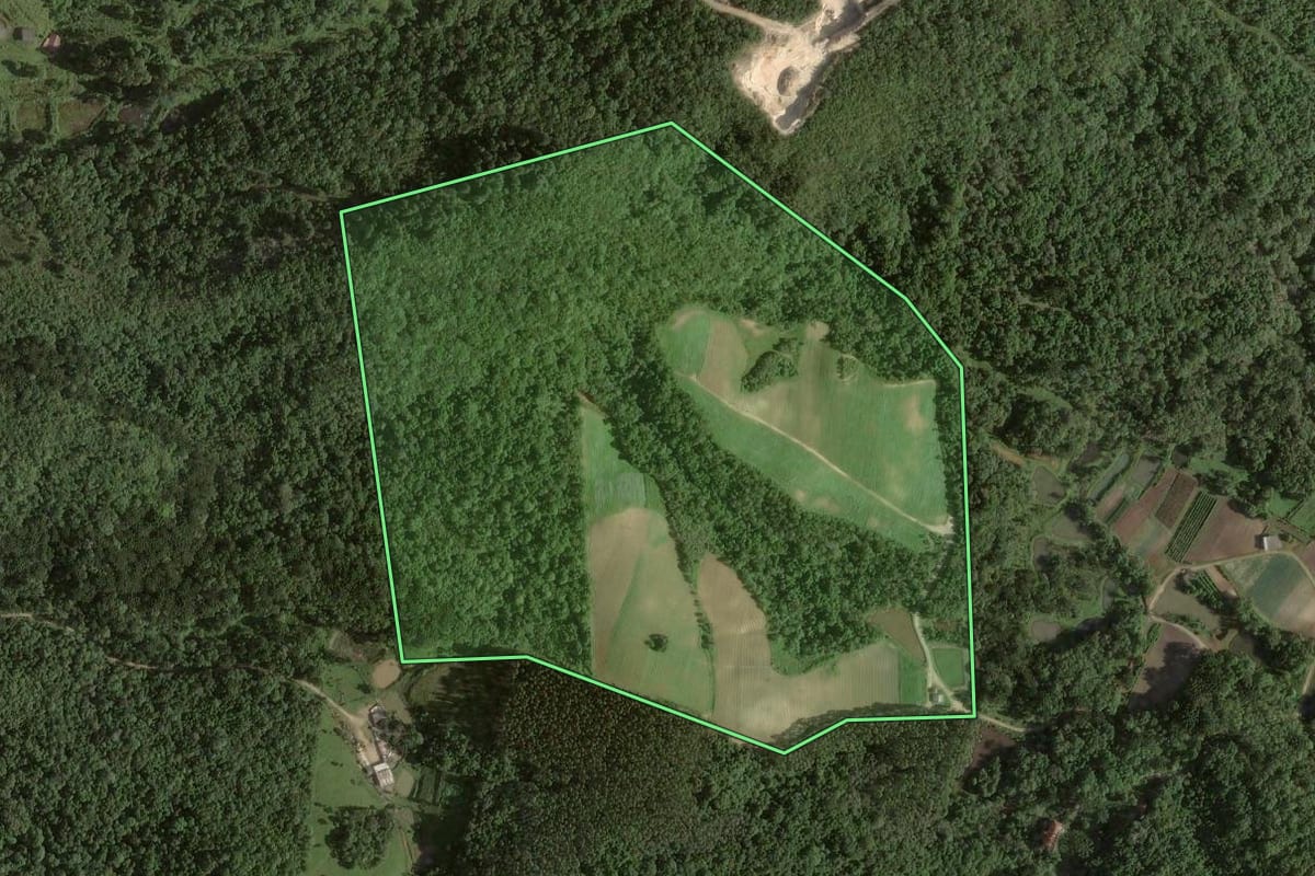 Imagem de satélite do imóvel rural em Colombo (PR), com o contorno declarado no CAR desenhado por cima.