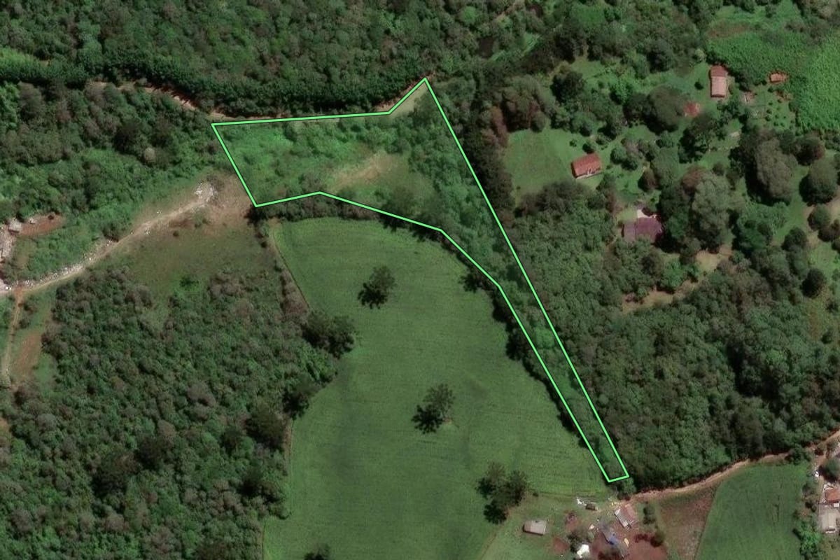 Imagem de satélite do imóvel rural em Colombo (PR), com o contorno declarado no CAR desenhado por cima.