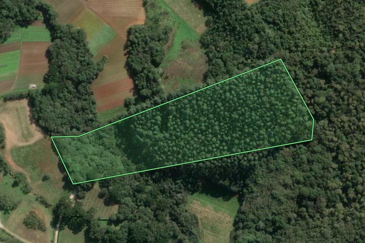 Imagem de satélite do imóvel rural em Colombo (PR), com o contorno declarado no CAR desenhado por cima.