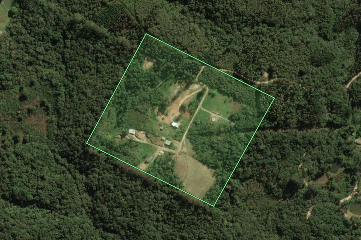 Imagem de satélite do imóvel rural em Colombo (PR), com o contorno declarado no CAR desenhado por cima.