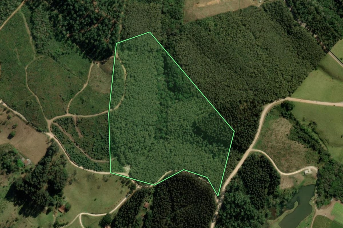 Imagem de satélite do imóvel rural em Colombo (PR), com o contorno declarado no CAR desenhado por cima.