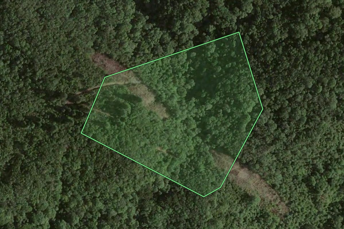 Imagem de satélite do imóvel rural em Colombo (PR), com o contorno declarado no CAR desenhado por cima.