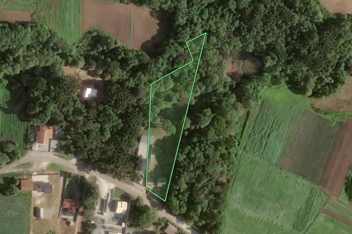 Imagem de satélite do imóvel rural em Colombo (PR), com o contorno declarado no CAR desenhado por cima.