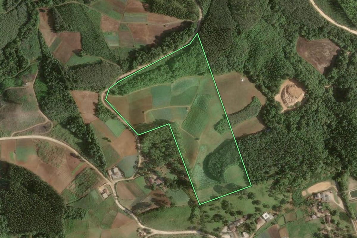 Imagem de satélite do imóvel rural em Colombo (PR), com o contorno declarado no CAR desenhado por cima.