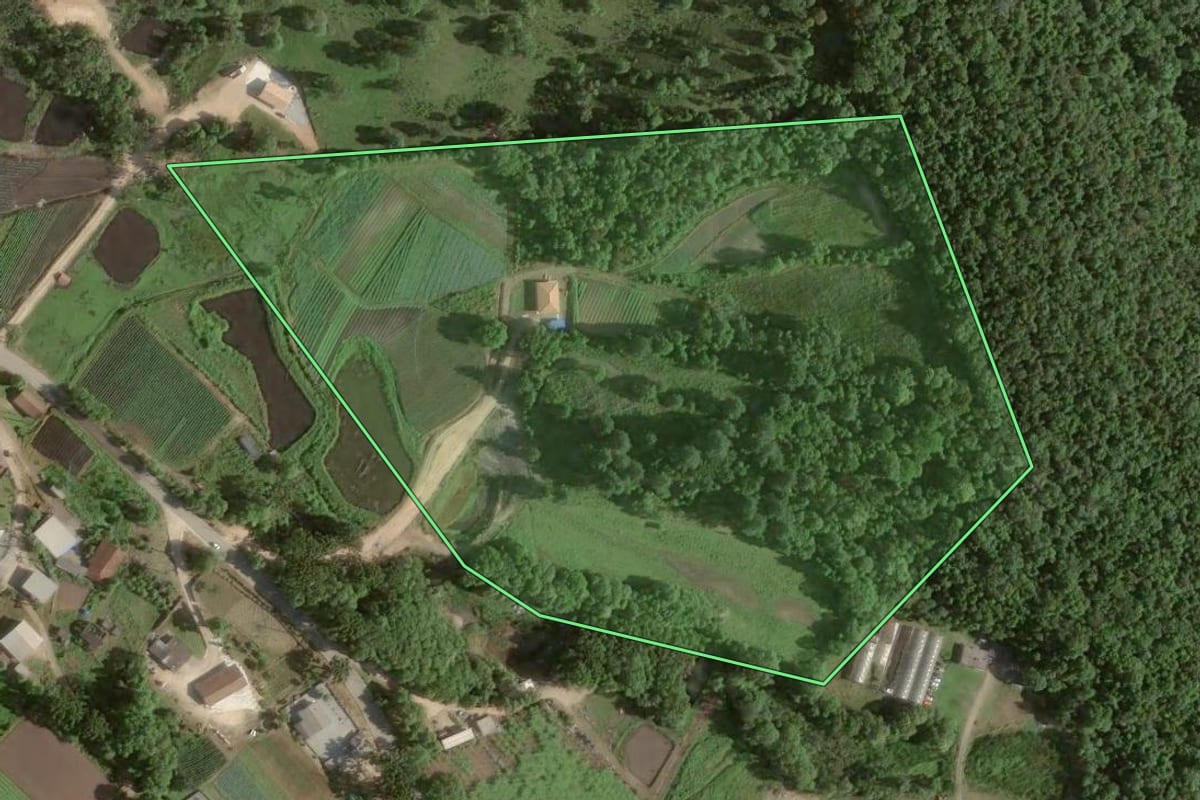 Imagem de satélite do imóvel rural em Colombo (PR), com o contorno declarado no CAR desenhado por cima.
