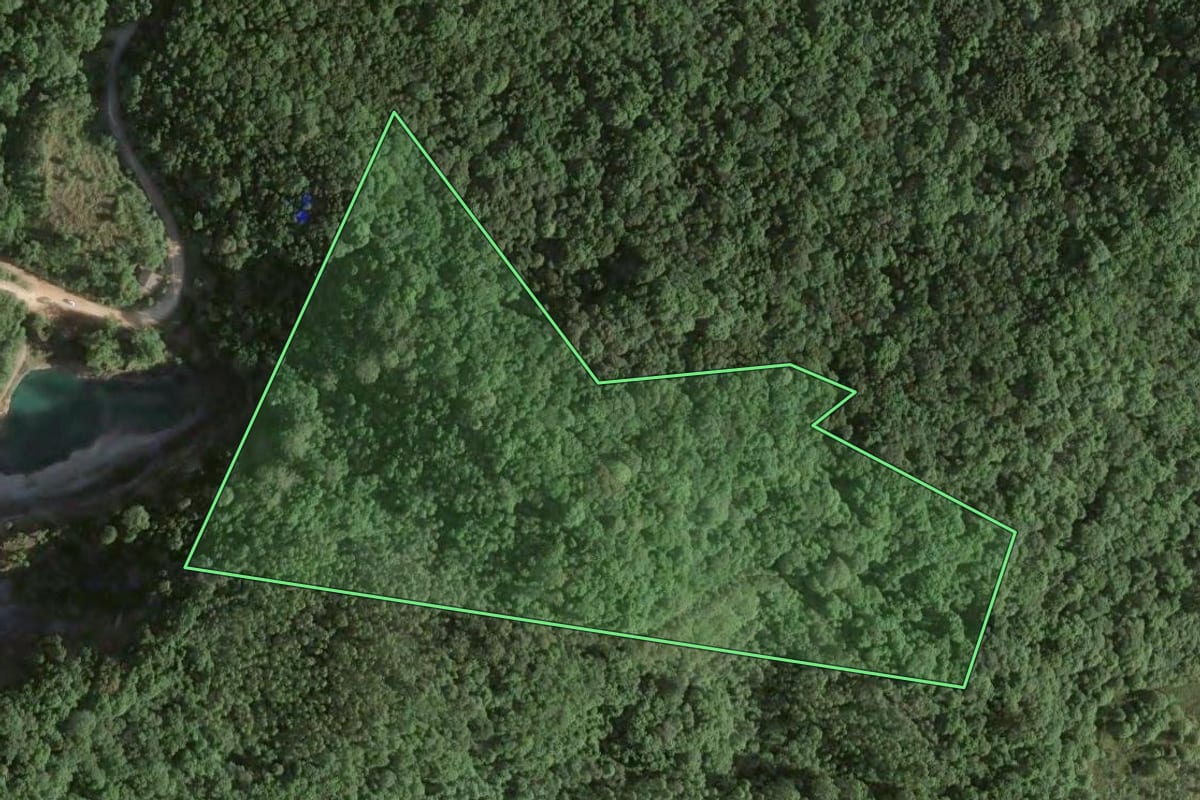 Imagem de satélite do imóvel rural em Colombo (PR), com o contorno declarado no CAR desenhado por cima.