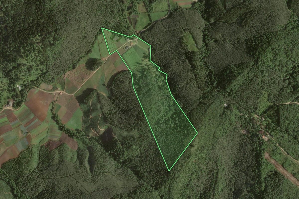 Imagem de satélite do imóvel rural em Colombo (PR), com o contorno declarado no CAR desenhado por cima.