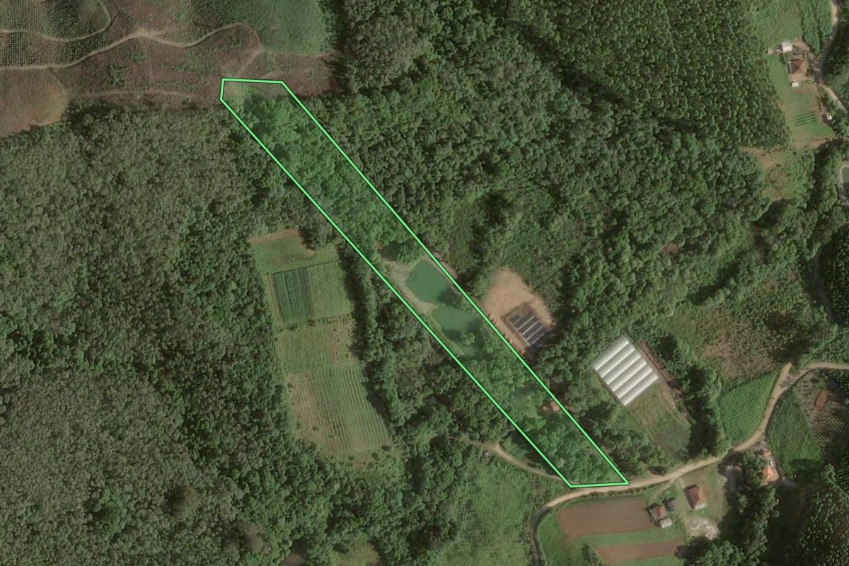 Imagem de satélite do imóvel rural em Colombo (PR), com o contorno declarado no CAR desenhado por cima.