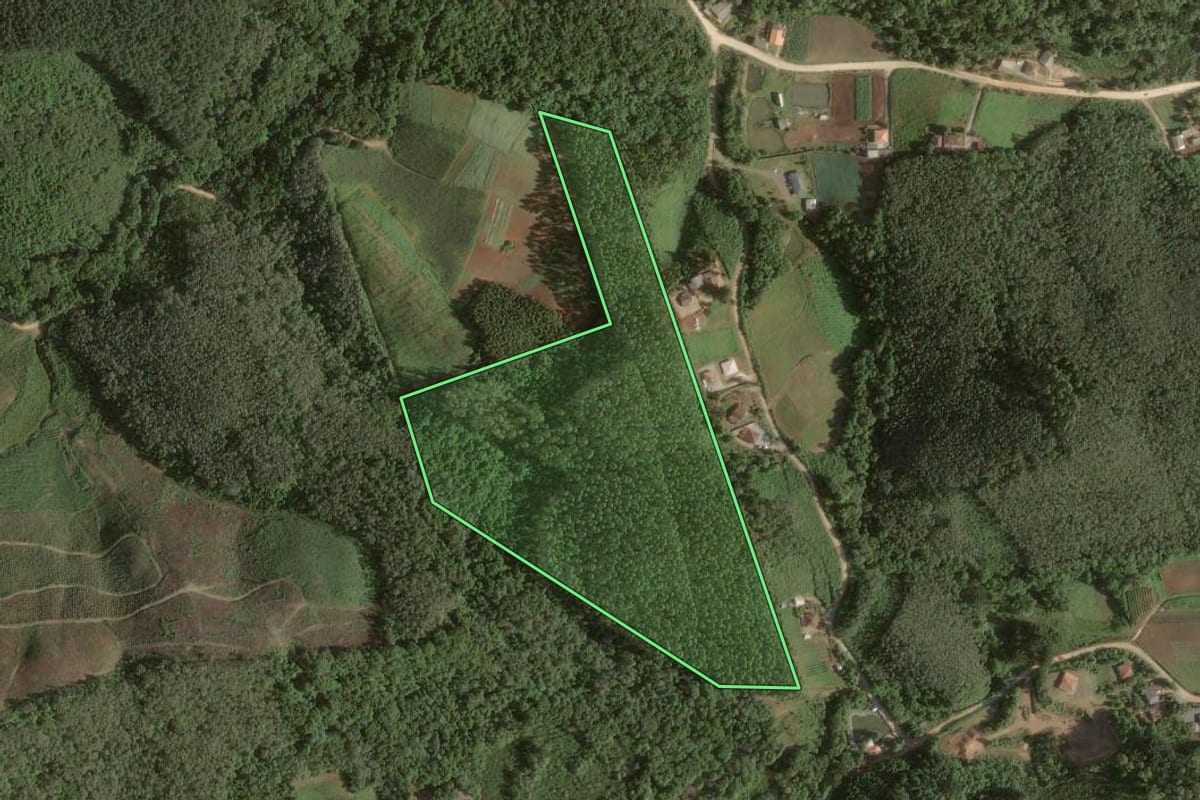 Imagem de satélite do imóvel rural em Colombo (PR), com o contorno declarado no CAR desenhado por cima.