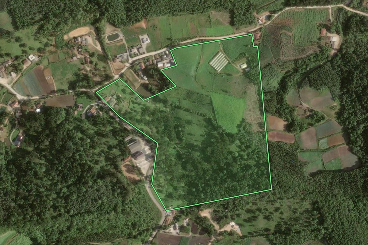Imagem de satélite do imóvel rural em Colombo (PR), com o contorno declarado no CAR desenhado por cima.