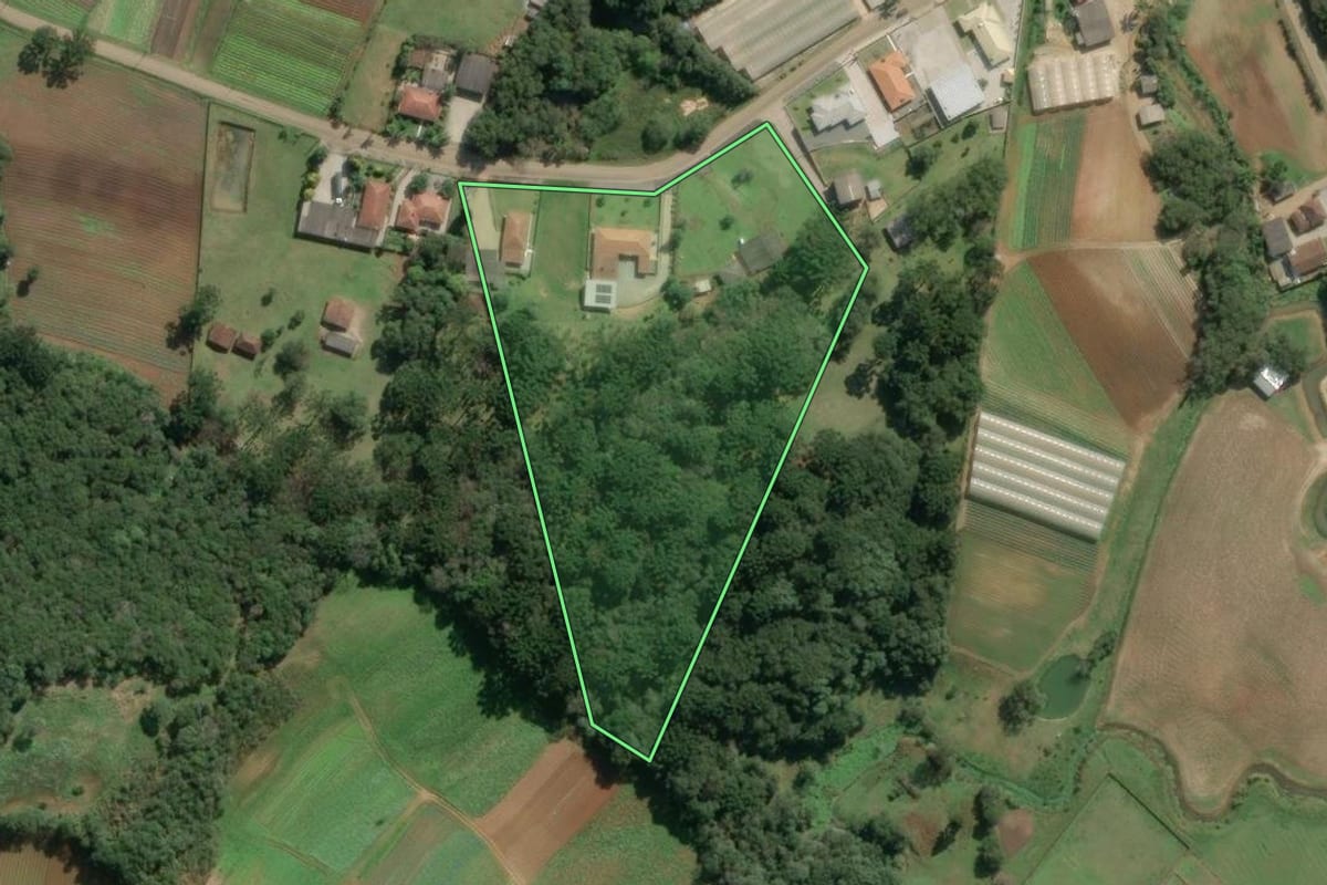 Imagem de satélite do imóvel rural em Colombo (PR), com o contorno declarado no CAR desenhado por cima.