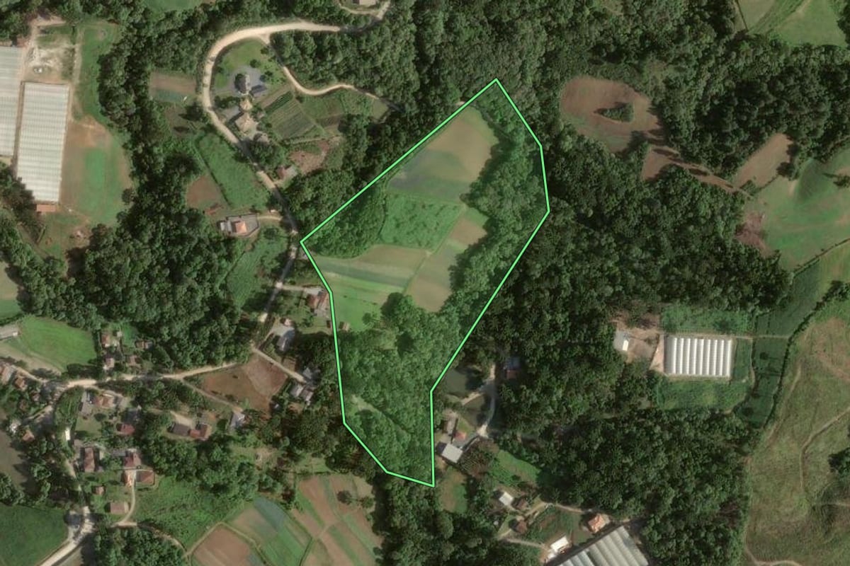 Imagem de satélite do imóvel rural em Colombo (PR), com o contorno declarado no CAR desenhado por cima.