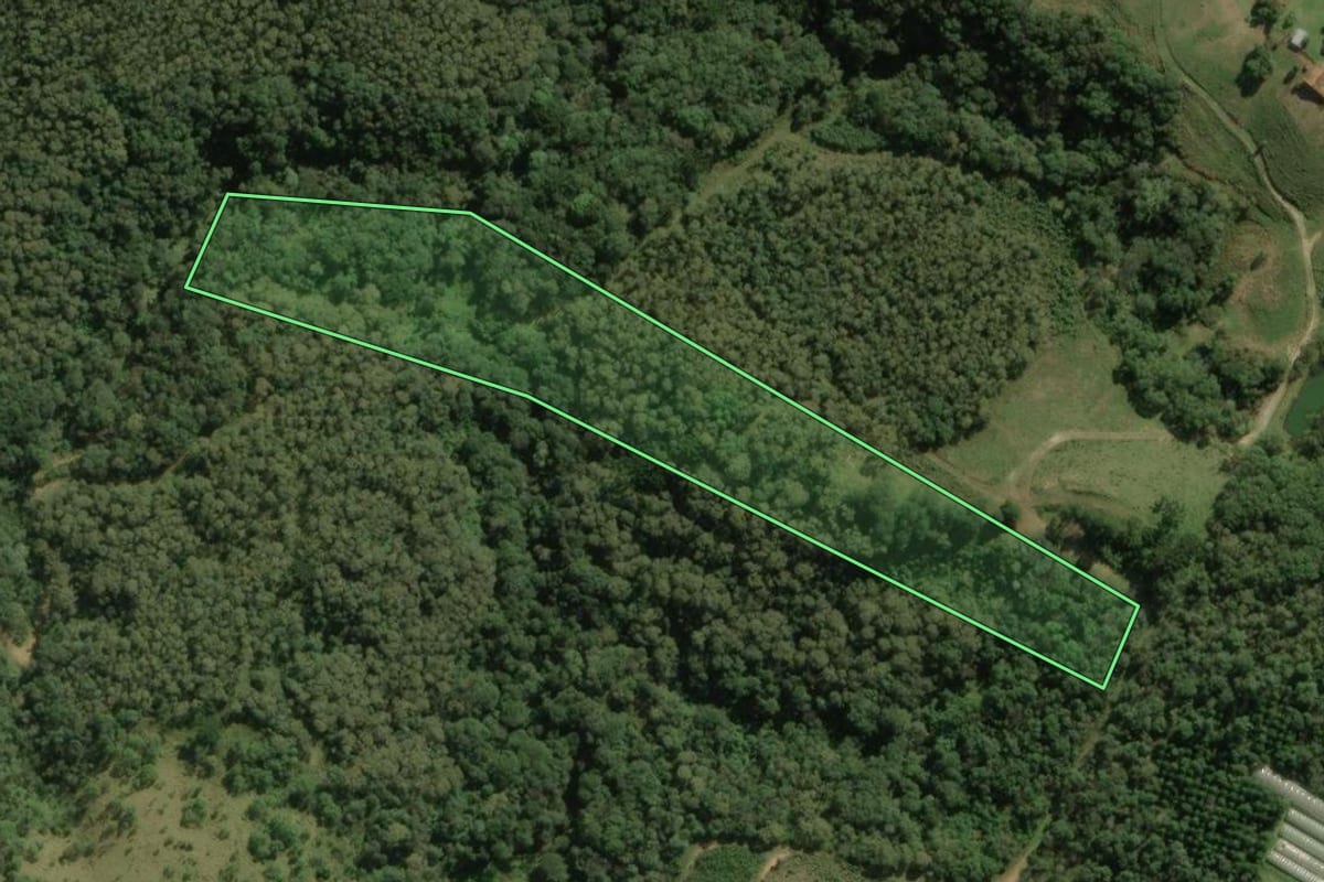Imagem de satélite do imóvel rural em Colombo (PR), com o contorno declarado no CAR desenhado por cima.