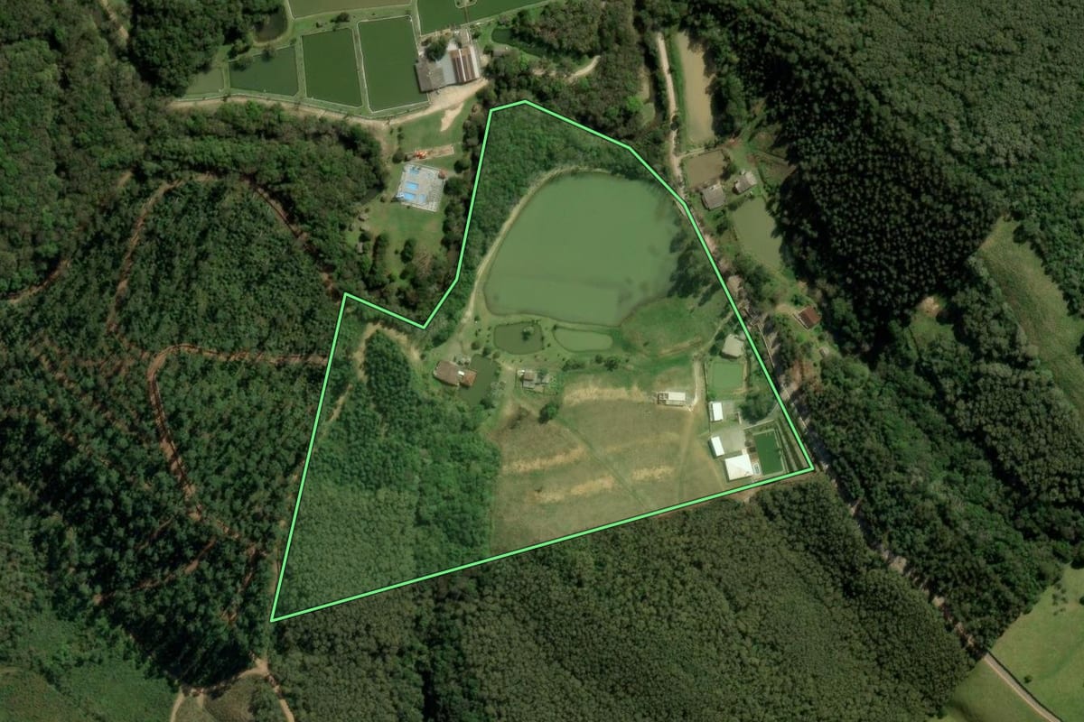 Imagem de satélite do imóvel rural em Colombo (PR), com o contorno declarado no CAR desenhado por cima.