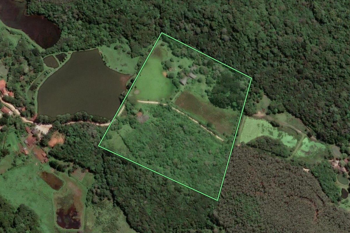Imagem de satélite do imóvel rural em Colombo (PR), com o contorno declarado no CAR desenhado por cima.