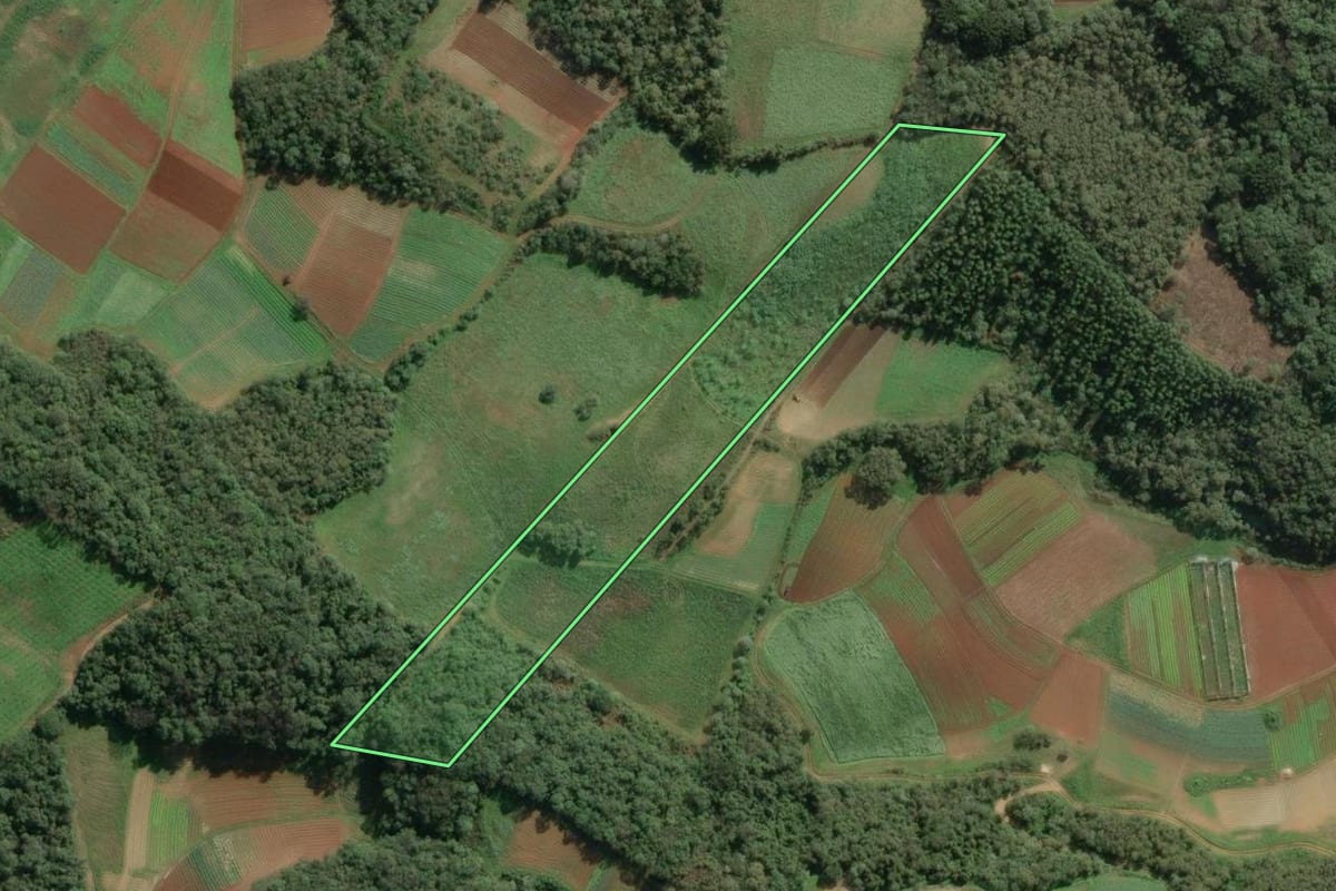 Imagem de satélite do imóvel rural em Colombo (PR), com o contorno declarado no CAR desenhado por cima.