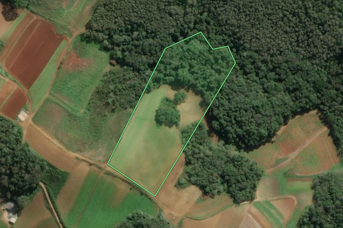 Imagem de satélite do imóvel rural em Colombo (PR), com o contorno declarado no CAR desenhado por cima.