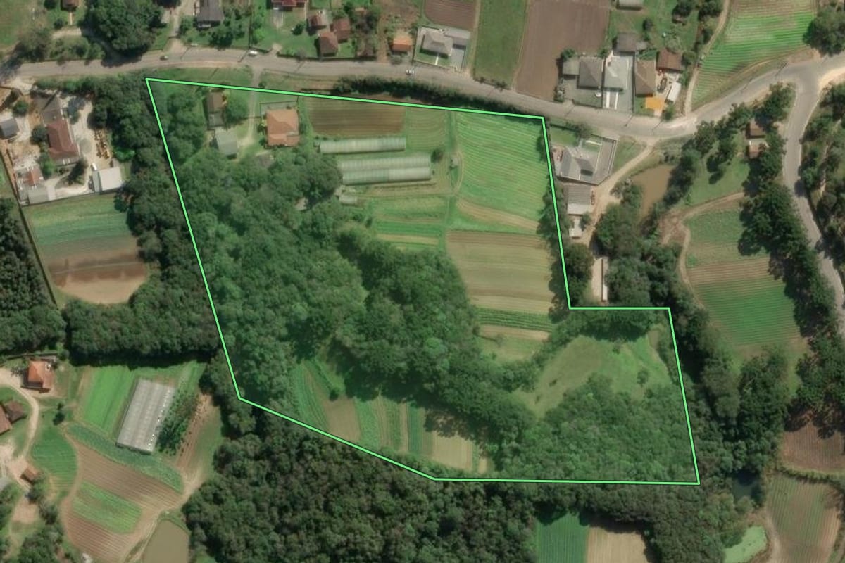 Imagem de satélite do imóvel rural em Colombo (PR), com o contorno declarado no CAR desenhado por cima.