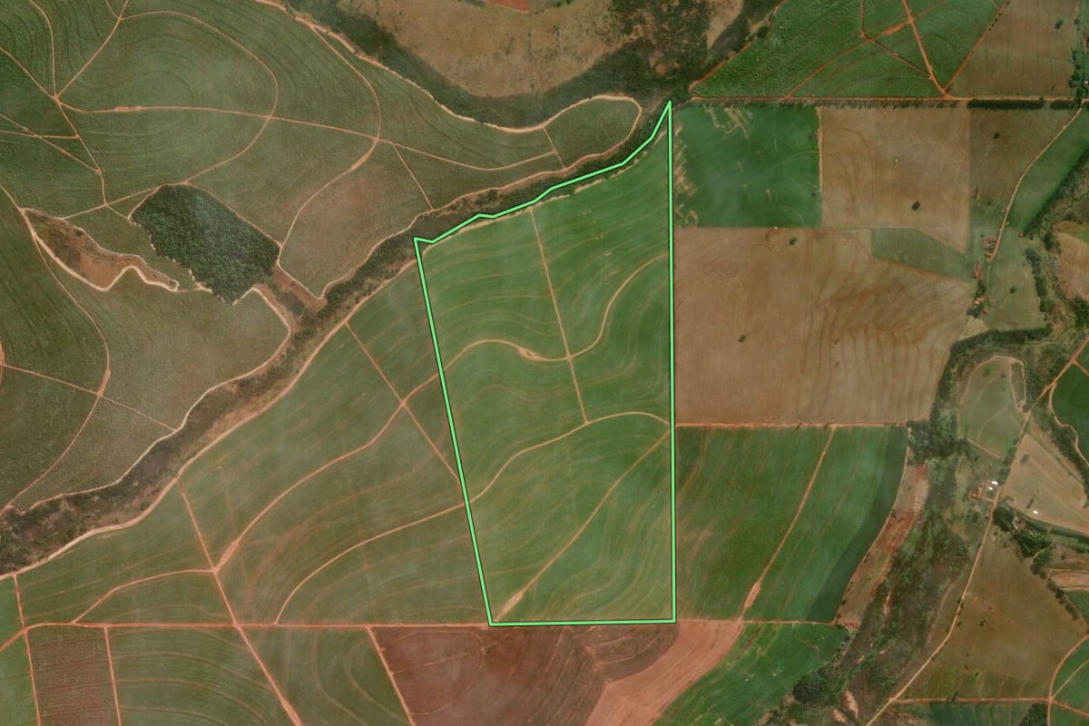 Imagem de satélite do imóvel rural em Colorado (PR), com o contorno declarado no CAR desenhado por cima.