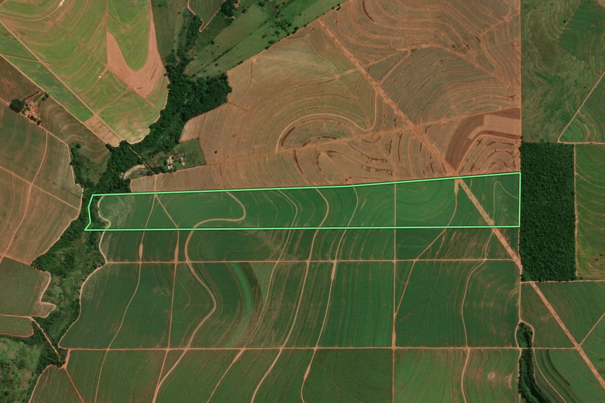 Imagem de satélite do imóvel rural em Colorado (PR), com o contorno declarado no CAR desenhado por cima.