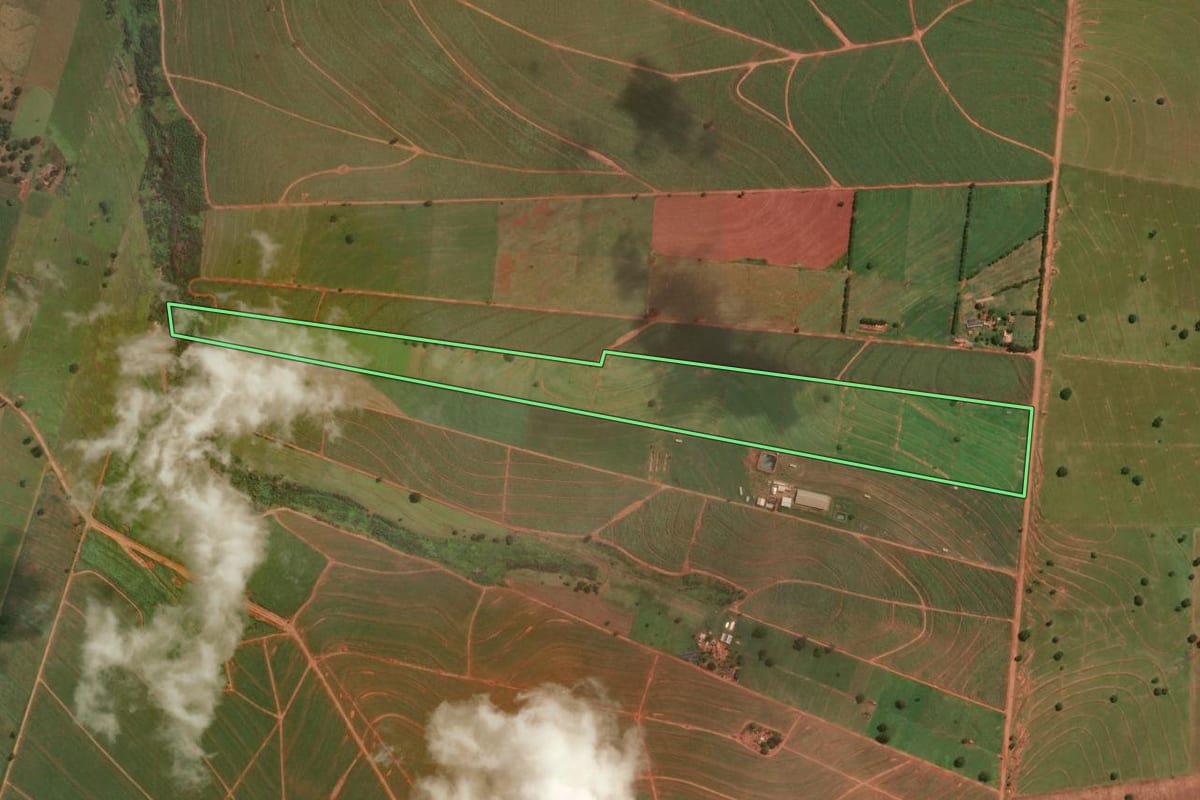 Imagem de satélite do imóvel rural em Colorado (PR), com o contorno declarado no CAR desenhado por cima.