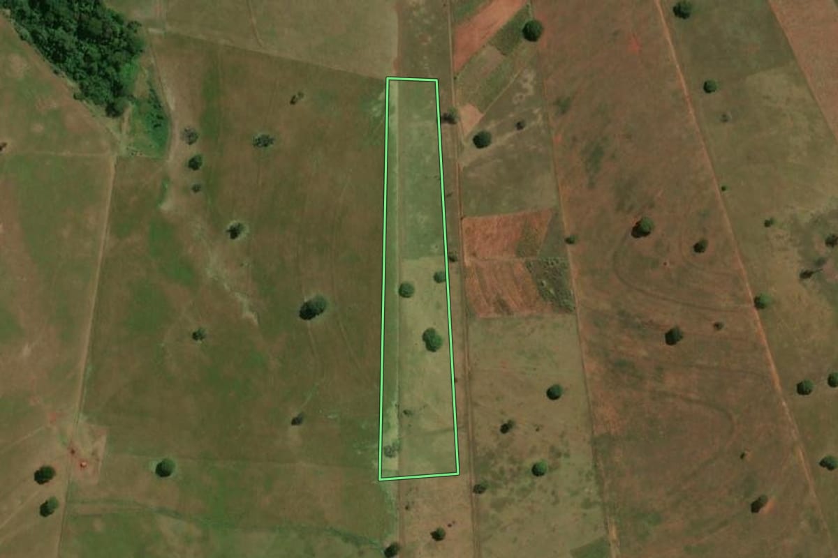 Imagem de satélite do imóvel rural em Colorado (PR), com o contorno declarado no CAR desenhado por cima.