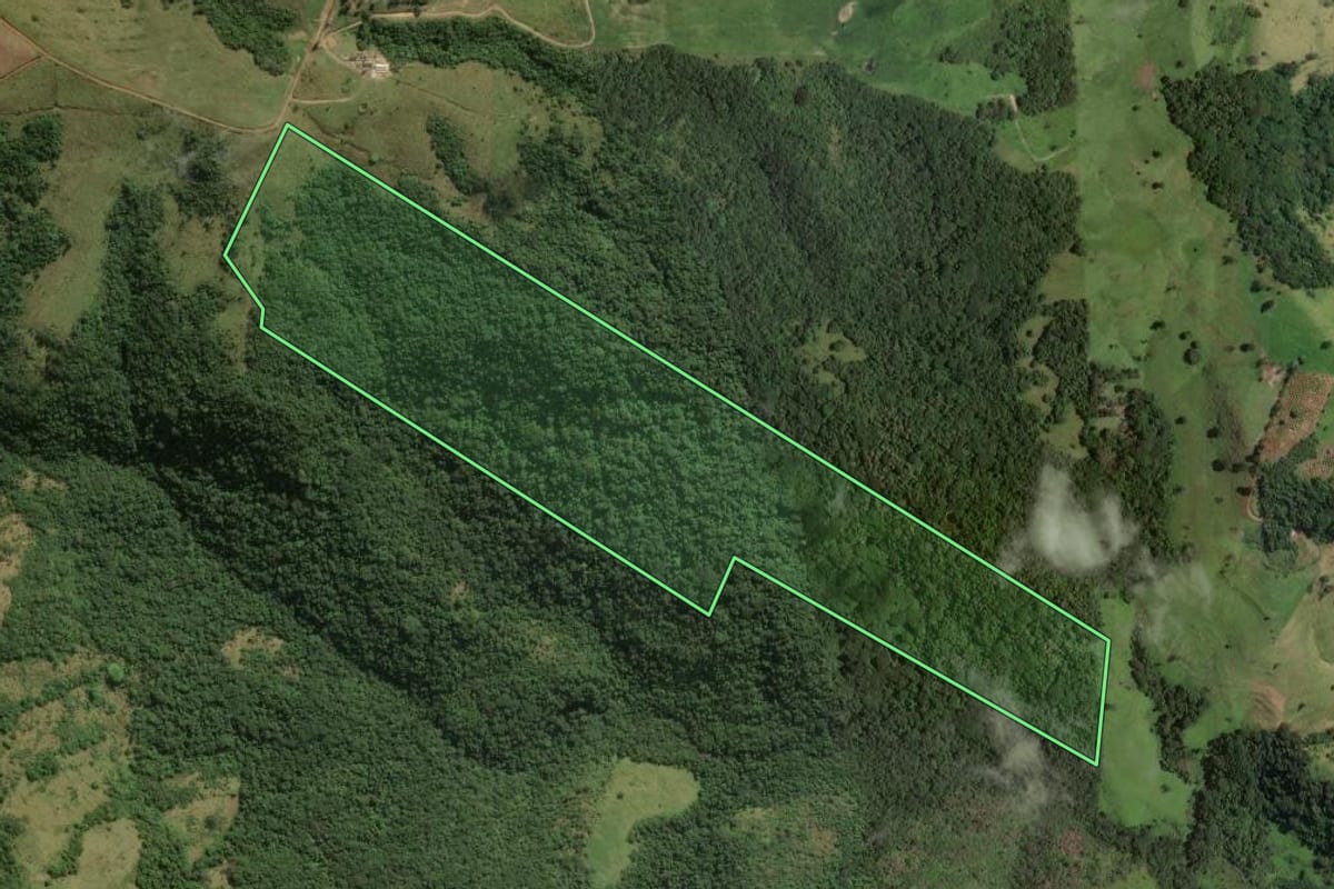 Imagem de satélite do imóvel rural em Congonhinhas (PR), com o contorno declarado no CAR desenhado por cima.