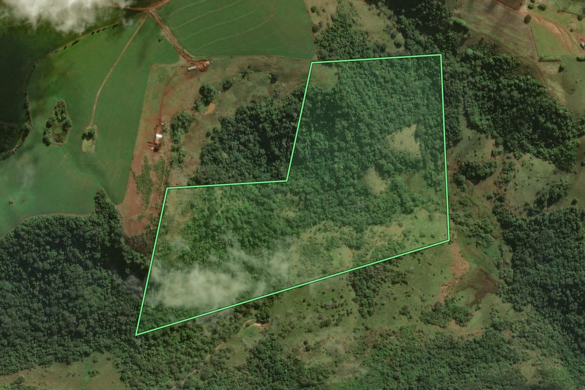 Imagem de satélite do imóvel rural em Congonhinhas (PR), com o contorno declarado no CAR desenhado por cima.