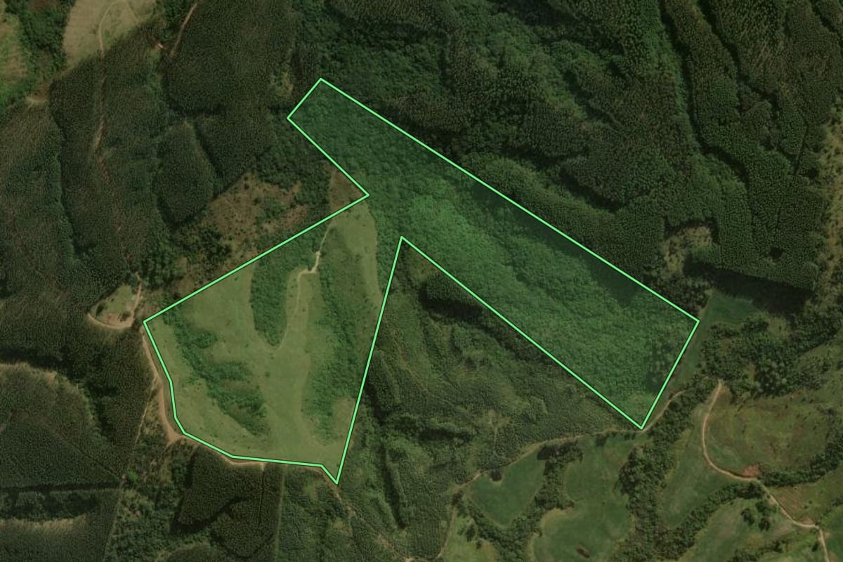 Imagem de satélite do imóvel rural em Congonhinhas (PR), com o contorno declarado no CAR desenhado por cima.