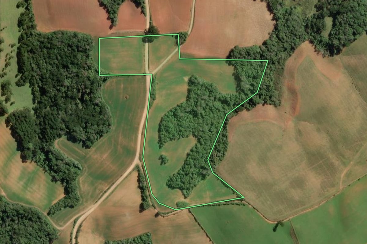 Imagem de satélite do imóvel rural em Contenda (PR), com o contorno declarado no CAR desenhado por cima.