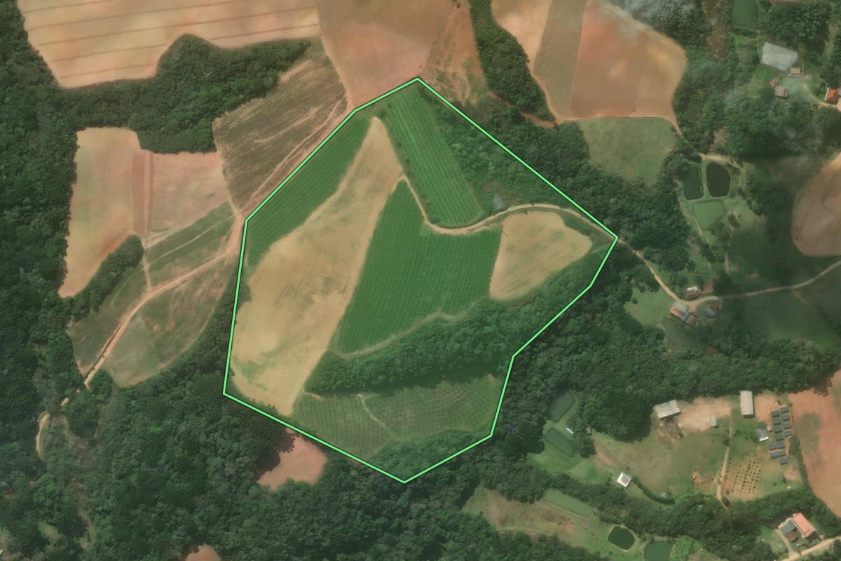 Imagem de satélite do imóvel rural em Contenda (PR), com o contorno declarado no CAR desenhado por cima.