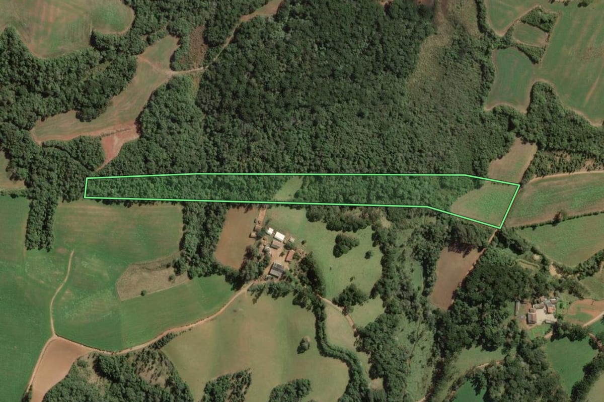 Imagem de satélite do imóvel rural em Contenda (PR), com o contorno declarado no CAR desenhado por cima.