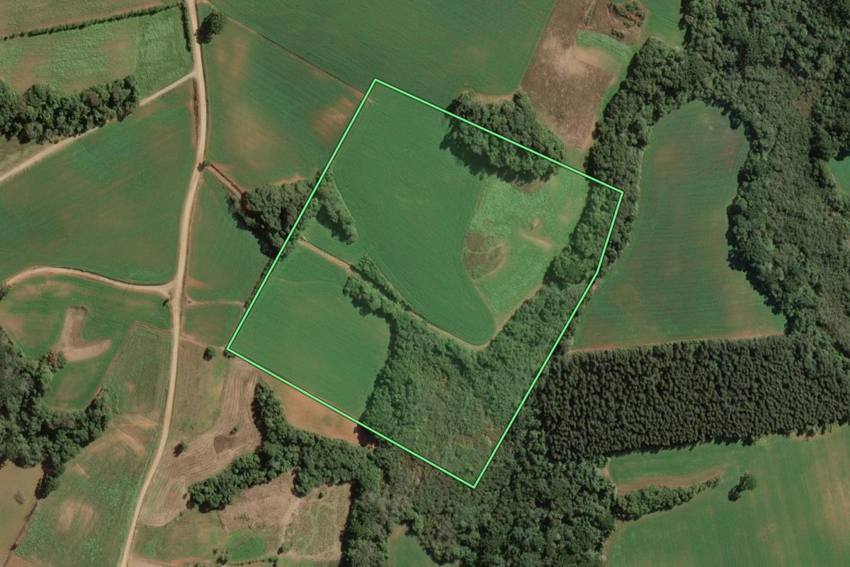 Imagem de satélite do imóvel rural em Contenda (PR), com o contorno declarado no CAR desenhado por cima.