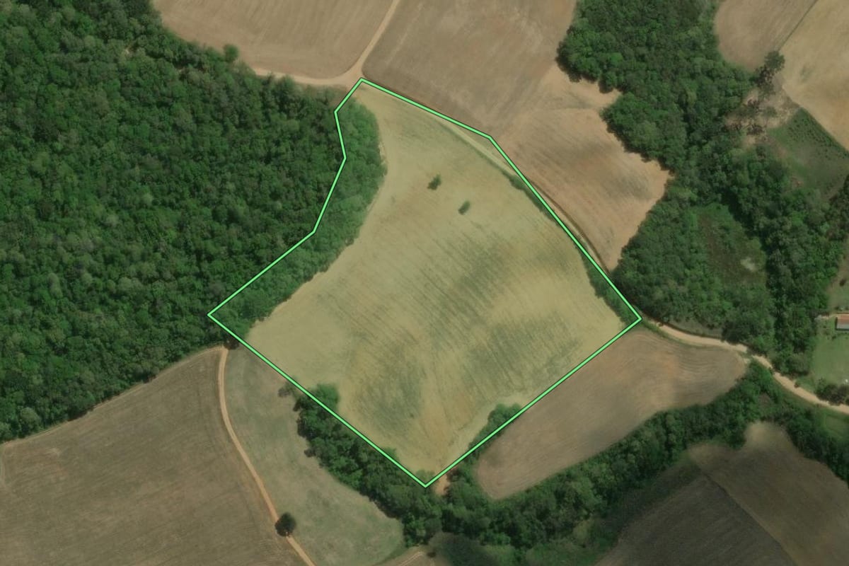 Imagem de satélite do imóvel rural em Contenda (PR), com o contorno declarado no CAR desenhado por cima.