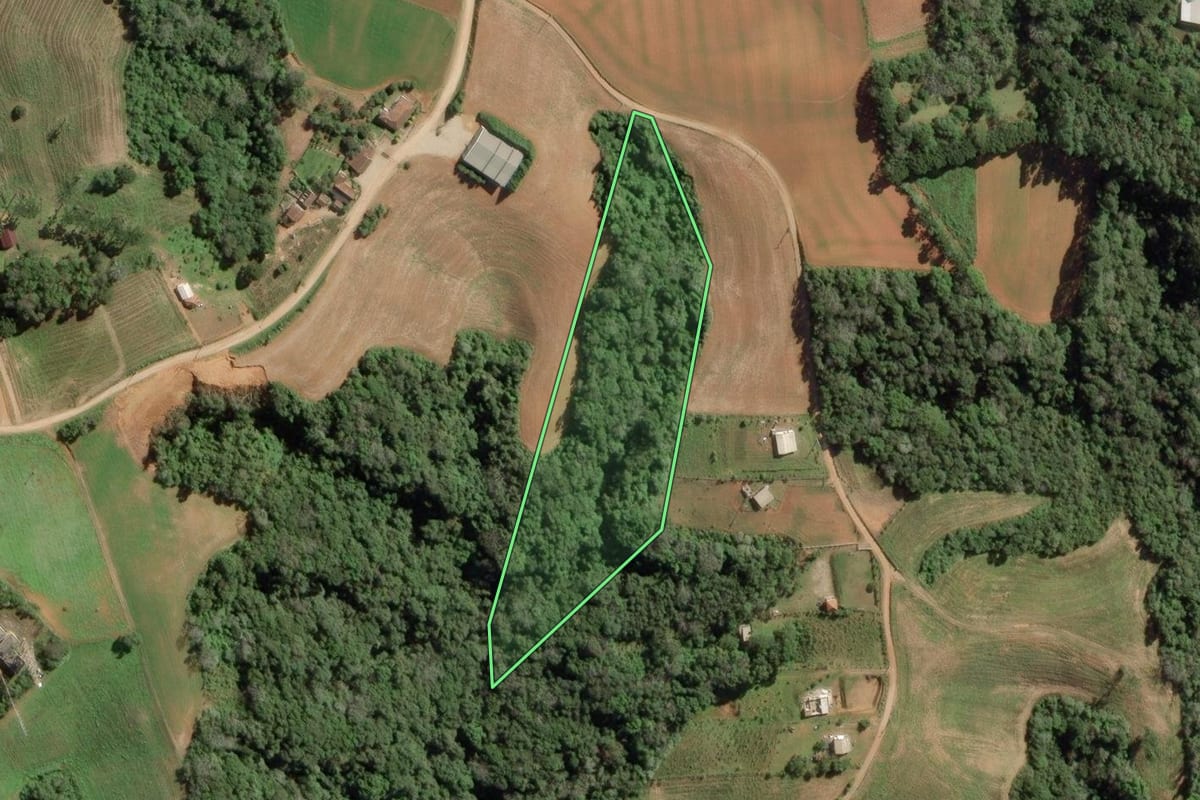 Imagem de satélite do imóvel rural em Contenda (PR), com o contorno declarado no CAR desenhado por cima.