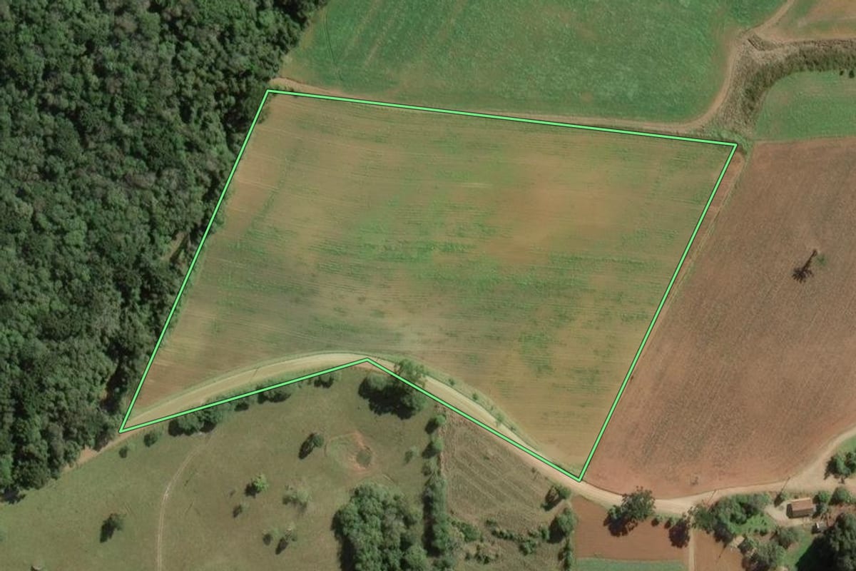 Imagem de satélite do imóvel rural em Contenda (PR), com o contorno declarado no CAR desenhado por cima.