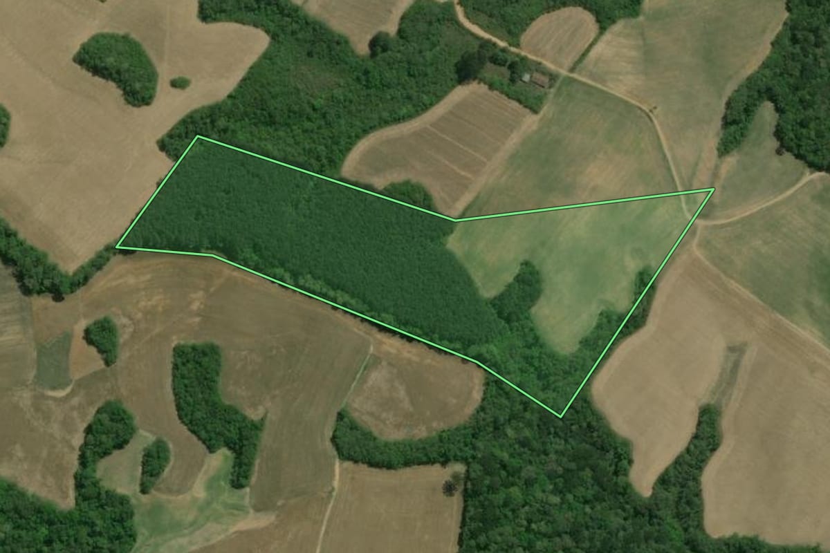 Imagem de satélite do imóvel rural em Contenda (PR), com o contorno declarado no CAR desenhado por cima.