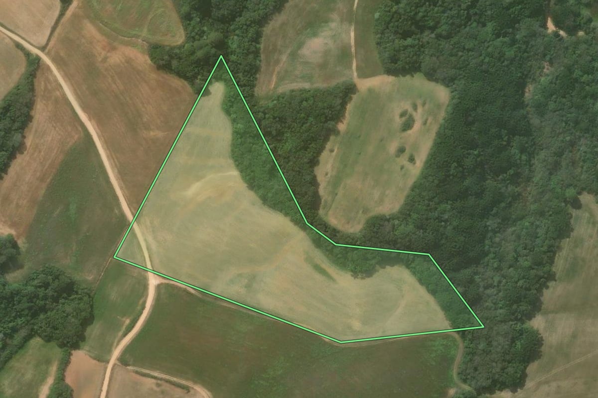Imagem de satélite do imóvel rural em Contenda (PR), com o contorno declarado no CAR desenhado por cima.