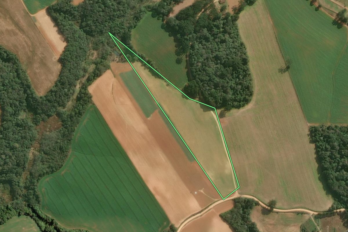Imagem de satélite do imóvel rural em Contenda (PR), com o contorno declarado no CAR desenhado por cima.
