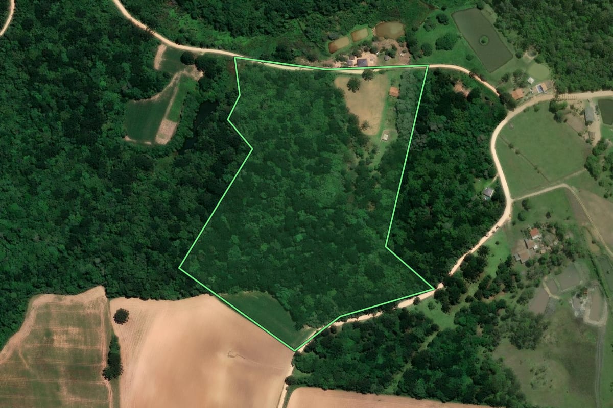 Imagem de satélite do imóvel rural em Contenda (PR), com o contorno declarado no CAR desenhado por cima.