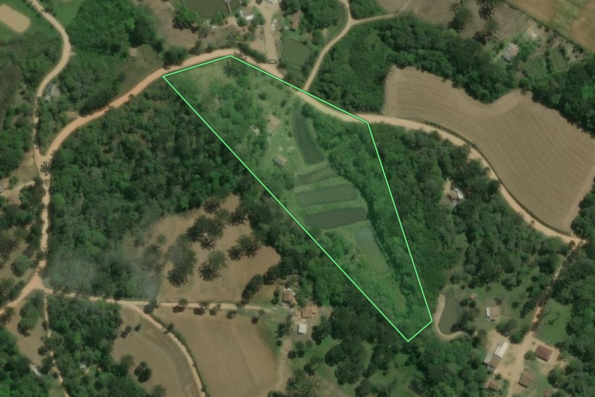Imagem de satélite do imóvel rural em Contenda (PR), com o contorno declarado no CAR desenhado por cima.